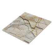 Bruin en zwart getextureerde kieuwsteen tegeltje (Zijkant)