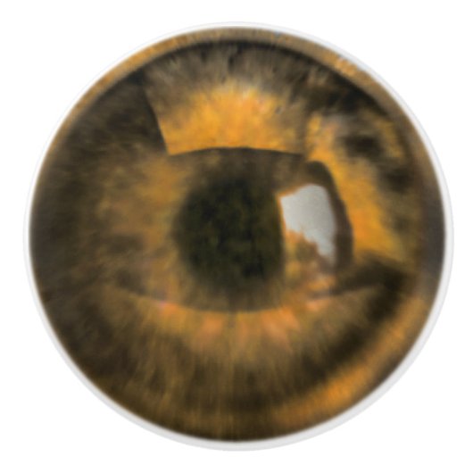 Bruin Eyeball Keramische Knop (Voorkant)