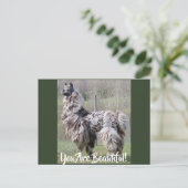 Bruin Fancy Show Llama Briefkaart (Staand voorkant)