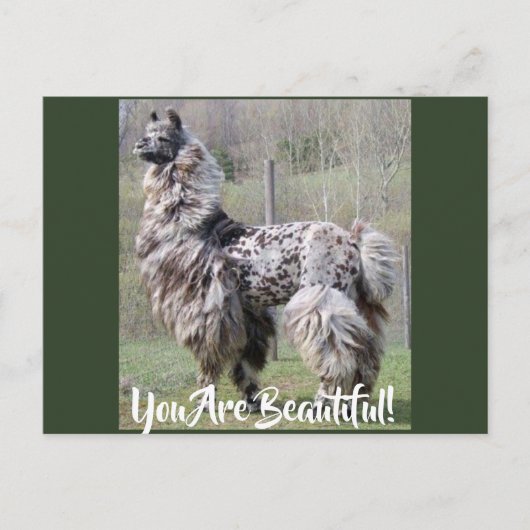 Bruin Fancy Show Llama Briefkaart (Voorkant)