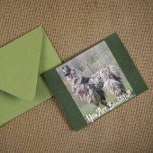 Bruin Fancy Show Llama Briefkaart
