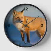 Bruin Fox (Voorkant)