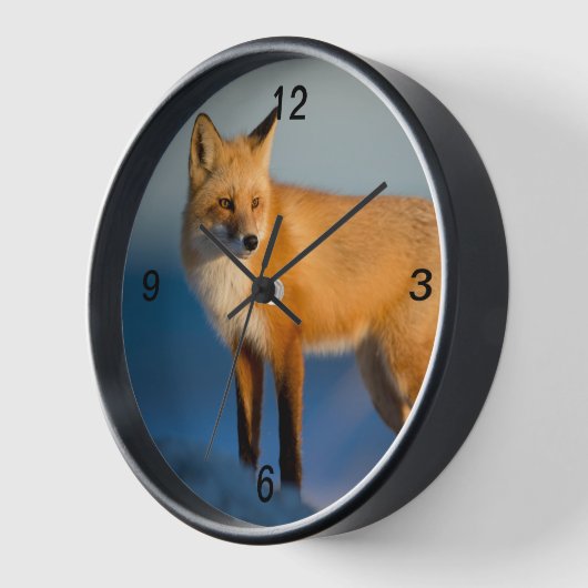 Bruin Fox (Hoek)