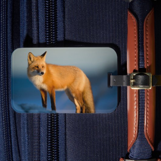 Bruin Fox Bagagelabel (Voorkant Insitu 4)