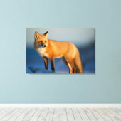 Bruin Fox Canvas Afdruk (Insitu (Houten vloer))