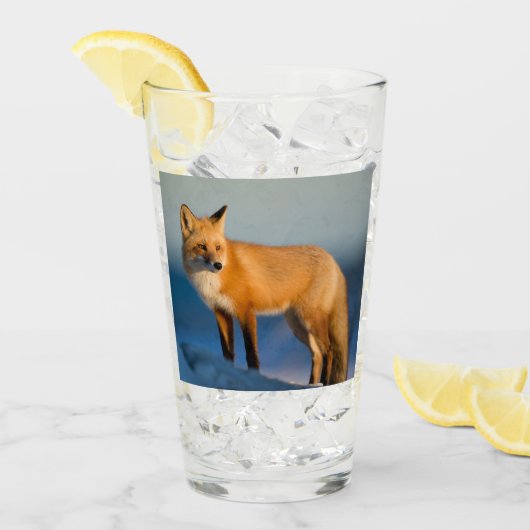 Bruin Fox Glas (Voorkant ijs)