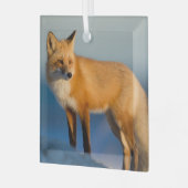 Bruin Fox Glas Ornament (Voorkant links)