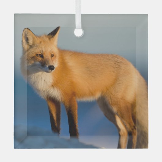 Bruin Fox Glas Ornament (Voorkant)