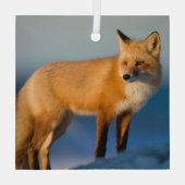 Bruin Fox Glas Ornament (Achterkant)