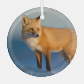 Bruin Fox Glas Ornament (Voorkant)