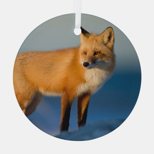 Bruin Fox Glas Ornament (Achterkant)