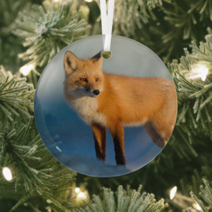 Bruin Fox Glas Ornament