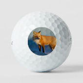 Bruin Fox Golfballen (Voorkant)