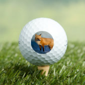 Bruin Fox Golfballen (Insitu Shirt)