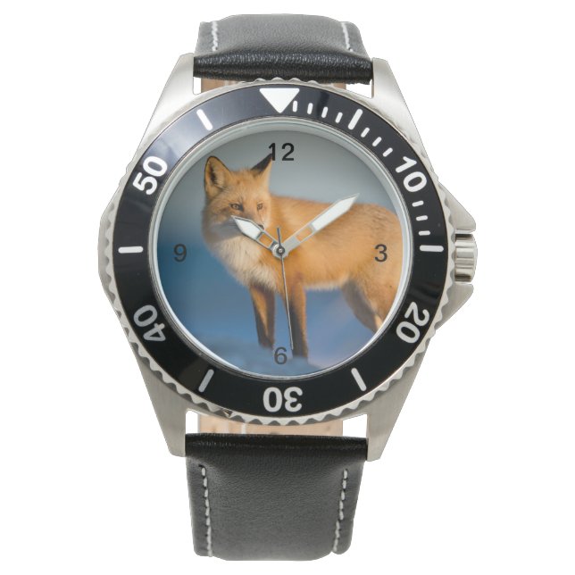 Bruin Fox Horloge (Voorkant)