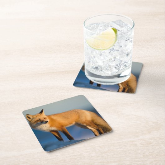 Bruin Fox Kartonnen Onderzetters (Insitu)