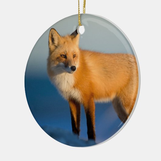 Bruin Fox Keramisch Ornament (Links)