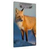 Bruin Fox Klembord (Rechts)