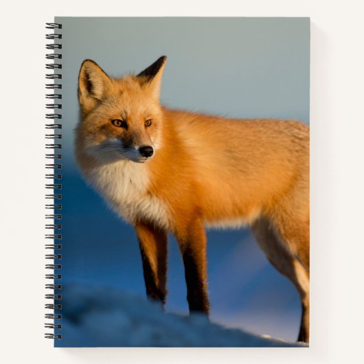 Bruin Fox Notitieboek (Voorkant)
