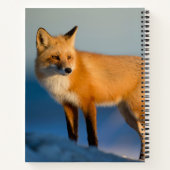 Bruin Fox Notitieboek (Achterkant)