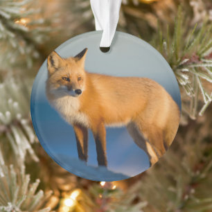 Bruin Fox Ornament