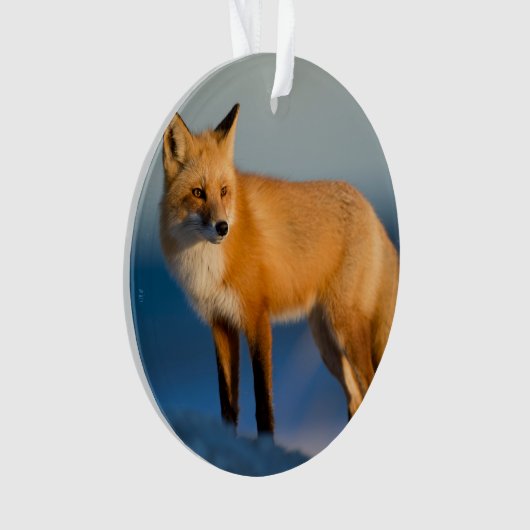 Bruin Fox Ornament (voorkant)