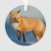 Bruin Fox Ornament (achterkant)