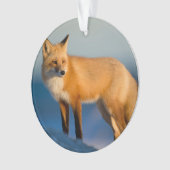 Bruin Fox Ornament (voorkant)