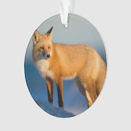 Bruin Fox Ornament (voorkant)