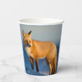 Bruin Fox Papieren Bekers (Achterkant)