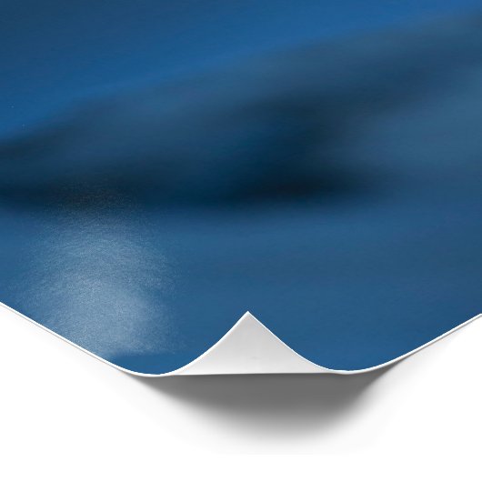 Bruin Fox Perfect Poster (Hoek)