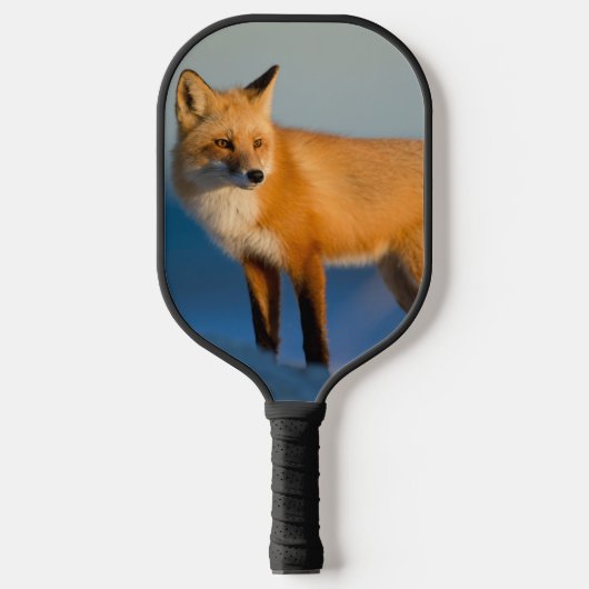 Bruin Fox Pickleball Paddle (Voorkant)