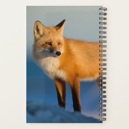 Bruin Fox Planner (Achterkant)
