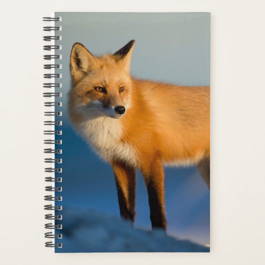 Bruin Fox Planner (Voorkant)