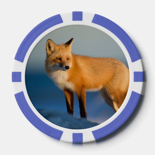 Bruin Fox Poker Chips (Voorkant)