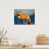 Bruin Fox Poster (Keuken)