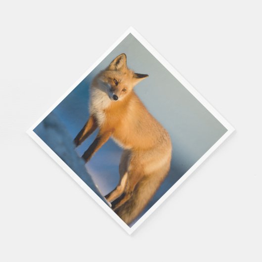 Bruin Fox Servet (Hoek)