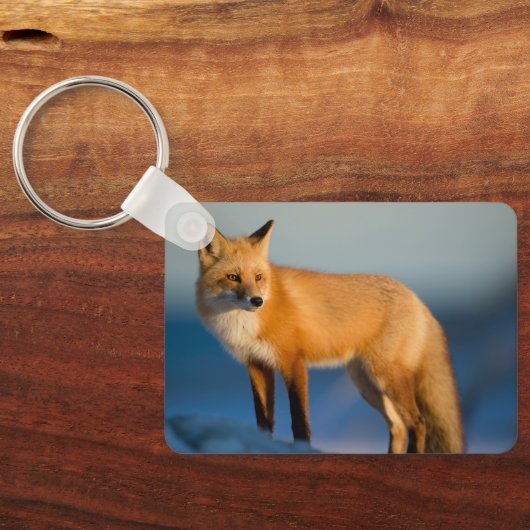 Bruin Fox Sleutelhanger (Achterkant)