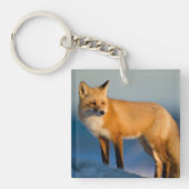 Bruin Fox Sleutelhanger (Voorkant)