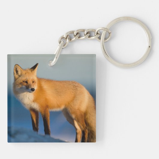 Bruin Fox Sleutelhanger (Achterkant)
