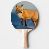 Bruin Fox Tafeltennisbatje (Voorkant)