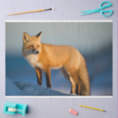 Bruin Fox Tissuepapier (Craft)