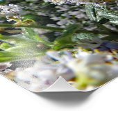 Bruin gebergte foto afdruk (Hoek)