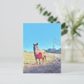 Bruin, gekleurd paard Rood hart Briefkaart (Staand voorkant)