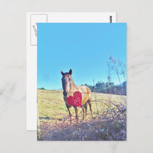 Bruin, gekleurd paard Rood hart Briefkaart (Voorkant / Achterkant)