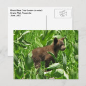 Bruin gekleurd zwart Beer, kubbel, josemiet Briefkaart (Voorkant / Achterkant)