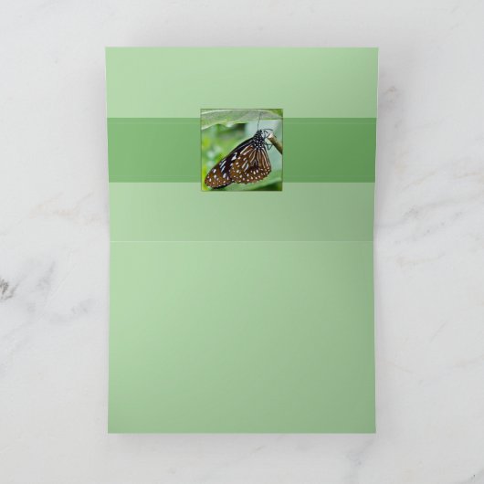 Bruin geschilderde vlinder kaart (Binnen)