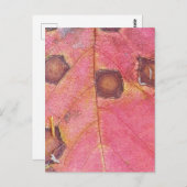 Bruin gestippeld rood Herfst blad Briefkaart (Voorkant / Achterkant)