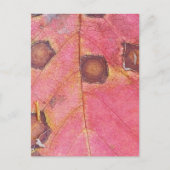 Bruin gestippeld rood Herfst blad Briefkaart (Voorkant)