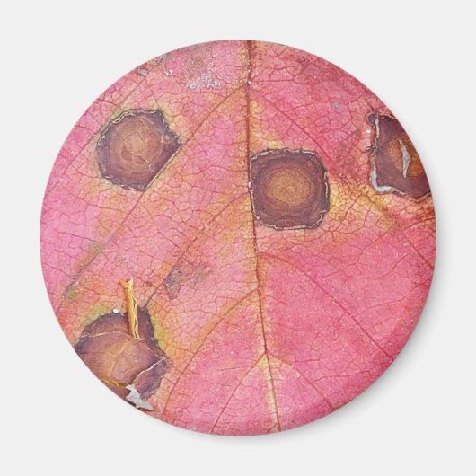 Bruin gestippeld rood Herfst blad Magneet (Voorkant)
